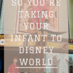 Disney World Rides