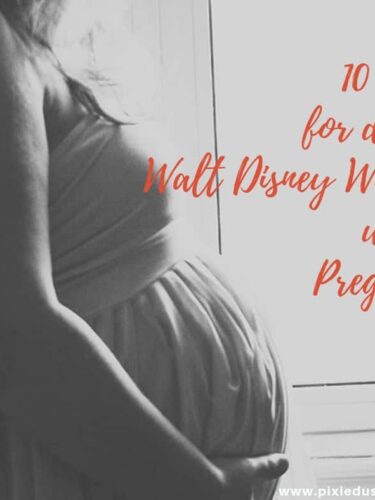 10 Tips for surviving Disney World while pregnant