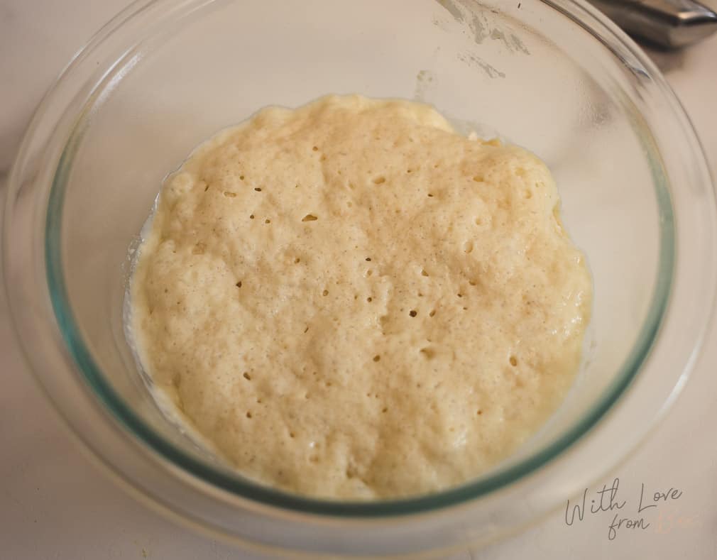 Bolo Rei Portuguese Christmas Cake