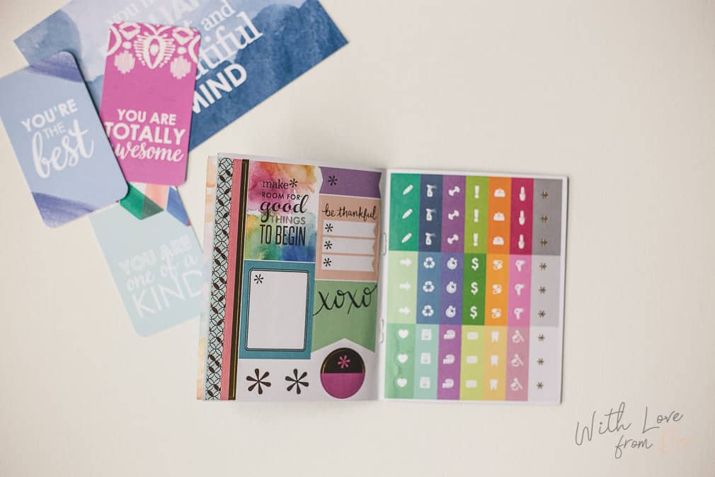 Planner Erin Condren ECPL