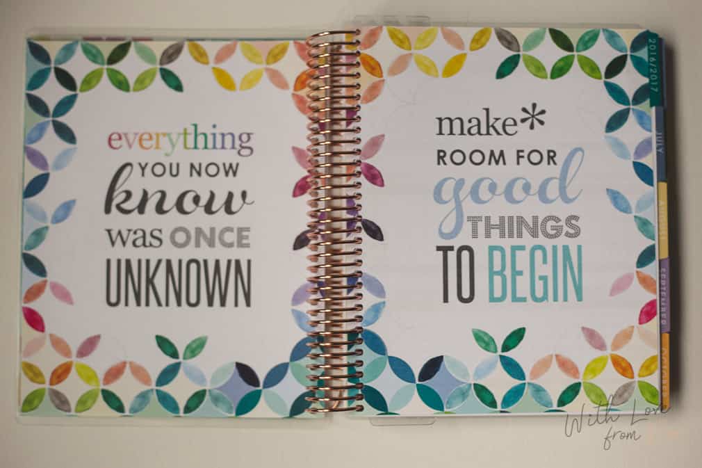 Planner Erin Condren ECPL