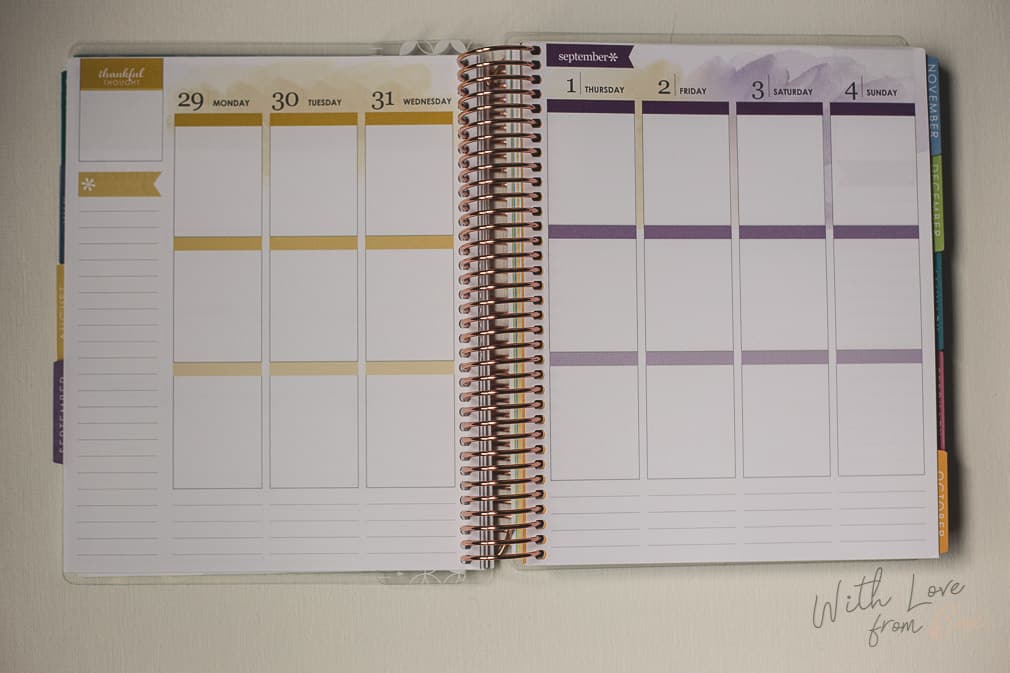 Planner Erin Condren ECPL