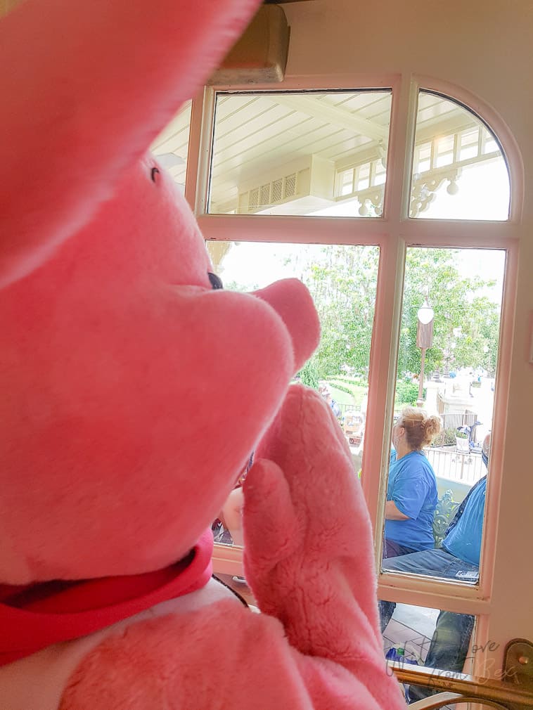 piglet staring out the window of crystal palace restaurant at Magic kingdom