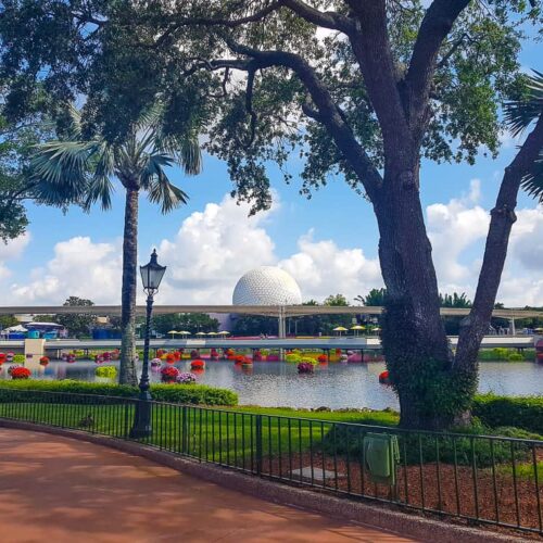 Landscape at Epcot