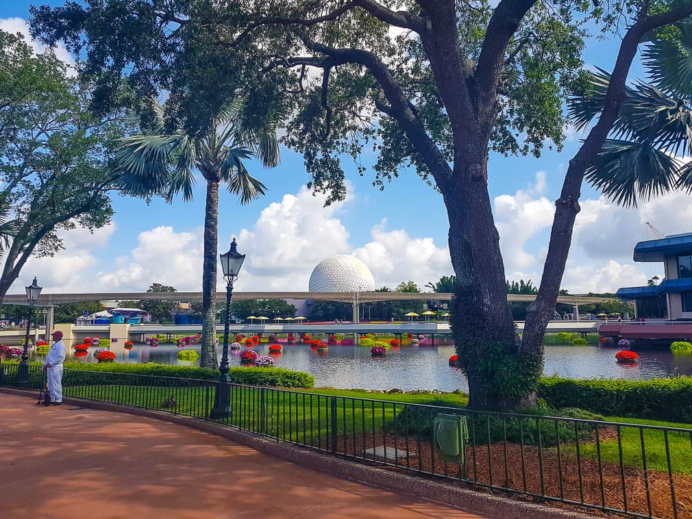 Landscape at Epcot