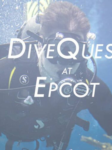 Epcot’s DiveQuest: A Review